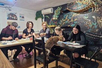 Acrylic Painting Workshop with Cats in Budapest