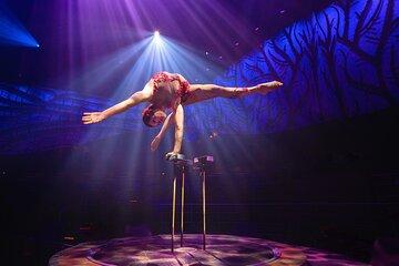Cirque du Soleil Joya Show Tickets