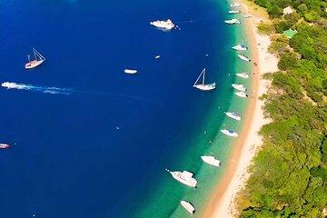 Full Day Tour to Bahia Concha Beach in Tayrona Park