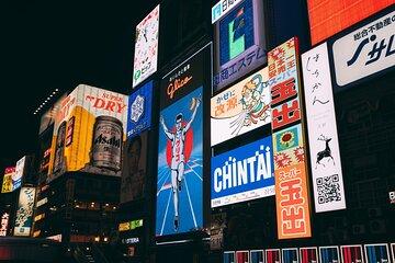 Osaka Day Excursion with a Local Guide