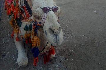 Half Day Tour to Dead Sea from Jerusalem