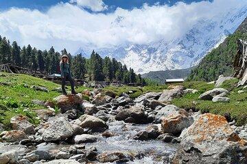 Nanga Parbat and Rakaposhi Base Camp Trek