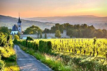 Half day Rhein Valley Wine Tour from Mainz