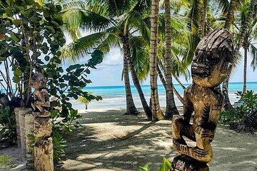 Saona Island Tour from Santo Domingo