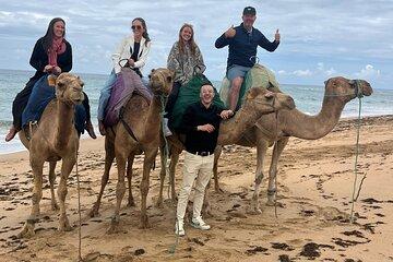 Tangier Luxury Private day trip from Marbella All inclusive
