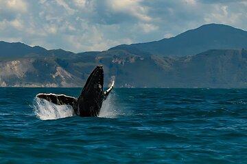 Christchurch to Kaikoura