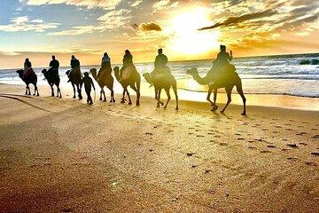 Discover Tangier: Cap Spartel and Hercules Cave with Camel Ride