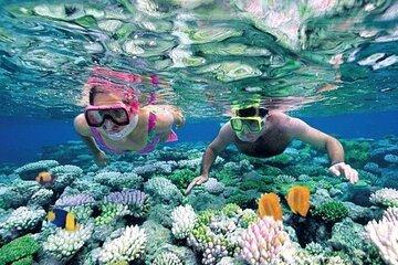 Bali Snorkeling at Blue Lagoon and Tanjung Jepun with Transfer