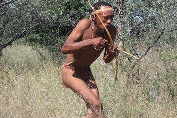 Experience Traditional & Modern San in Namibia