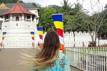 Kandy Day Trip: Colombo, Negombo, Bentota and Kalutara