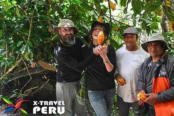 A Journey of Coffee Tea and Chocolate Flavors in the Cusco Landscape