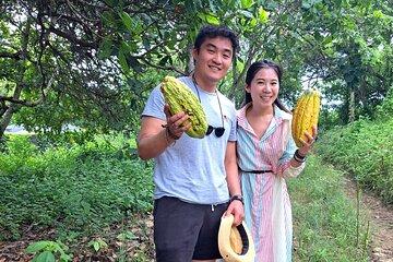 Private Tour of Cocoa Farm with Free Cooking Class