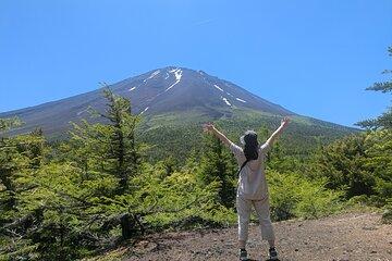 Mt. Fuji Private Tour w/ local English speaking guide & activity