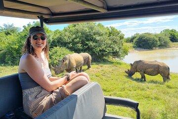 Full-Day Addo Park & Giraffe Walk (Open 4x4 Vehicle)