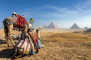Full Day Cairo Tour with Flight from Hurghada