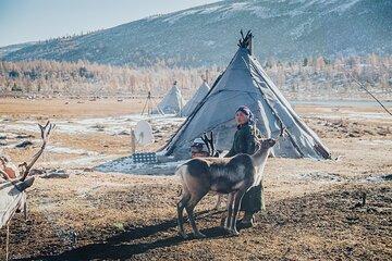 In Search of the Reindeer Herders
