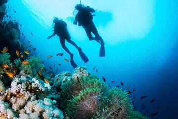 Hurghada Beginner Scuba Diving Trip with 2 Dive Stops and Lunch