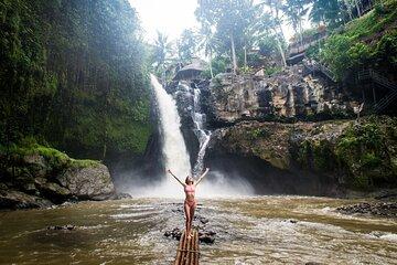 Explore the Hidden Cascades of Bali with Exotic Lunch