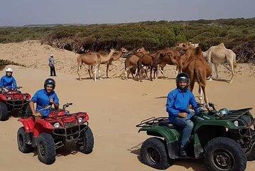 Essaouira: Quad tours (free transfer)
