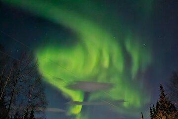 Aurora Experience