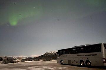 Northern Lights Hunt Bus Tour