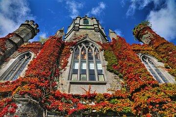 Galway Celtic Mythology Tour