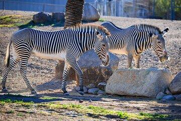 Phoenix Zoo One Day General Admission Ticket