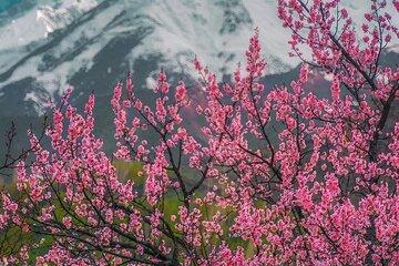 5-Day Skardu Blossom Tour: Explore Kachura, Shigar & Khaplu