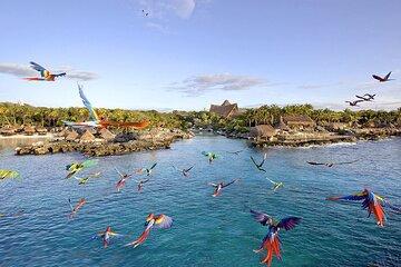 Xcaret Park - Plus Tour with Lunch & Transportation