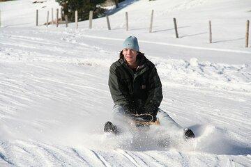 Davos Private Sledging Tour