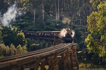Puffing Billy Train&Healesville Sanctuary&Yarra Valley Wine Tour