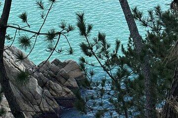 Ulsan Chartered Day Tour from Busan