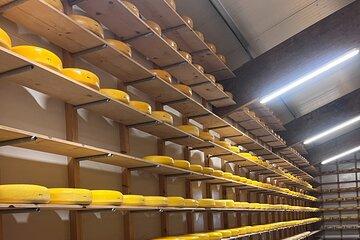 Rotterdam Cheese Farm Experience Kinderdijk Private Max 8 Persons