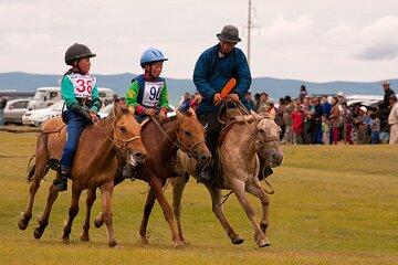 Naadam Festival Horse Racing A Day at Khui Doloon Khudag