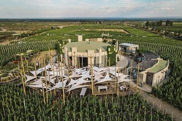 Winery Tour of Uco Valley