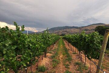 Jesuit Ruins & Carmelo Wineries: Private History and Wine Tour
