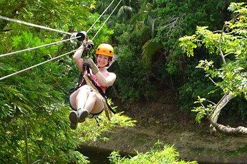 Gumbalimba Zip Line, Preservation Eco-Park and Snorkel