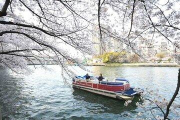 Higayoko River Night Cruise