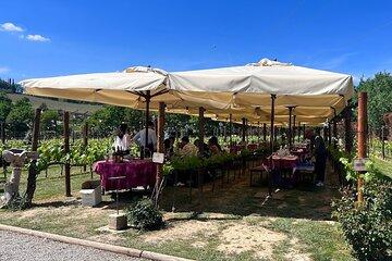 Siena and San Gimignano Wine Tour in a Small Group in Florence