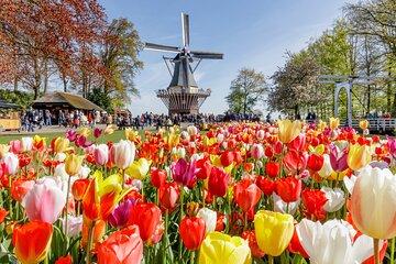 Keukenhof Tulip Garden Fast Track Entry Ticket