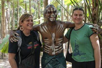 Cassowary Coast Waterfall Culture Tour