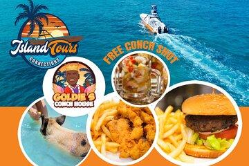 Half-Day Beach Break & Snorkeling Tour Lunch at Goldie's Fish Fry