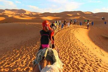 9 Days Private Tour From Casablanca to Marrakech And South Desert