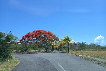 Private Tour in North Mauritius