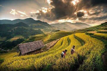 Sapa 3D2N Homestay and Hotel Experience by Limousine Bus