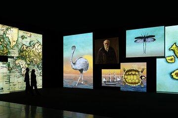 National Portrait Gallery Unframed Stories Brought to Life