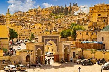 Half Day Guided Walking Tour in the Medina of Fez