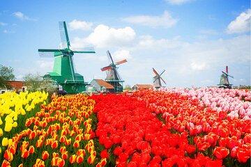 Zaanse Schans trip by Train from Amsterdam with Cheese Tasting