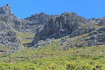 10 Days by Plane and Car Private Cape Town Adventure