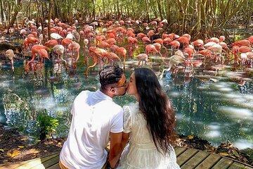 Full Day Tour to Aviary plus Playa Blanca Baru with Lunch